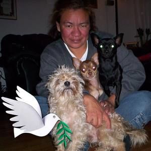 Meet your Posher, Sandy